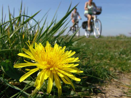 een dag lang fietsen in de mooie polders van Stalhille